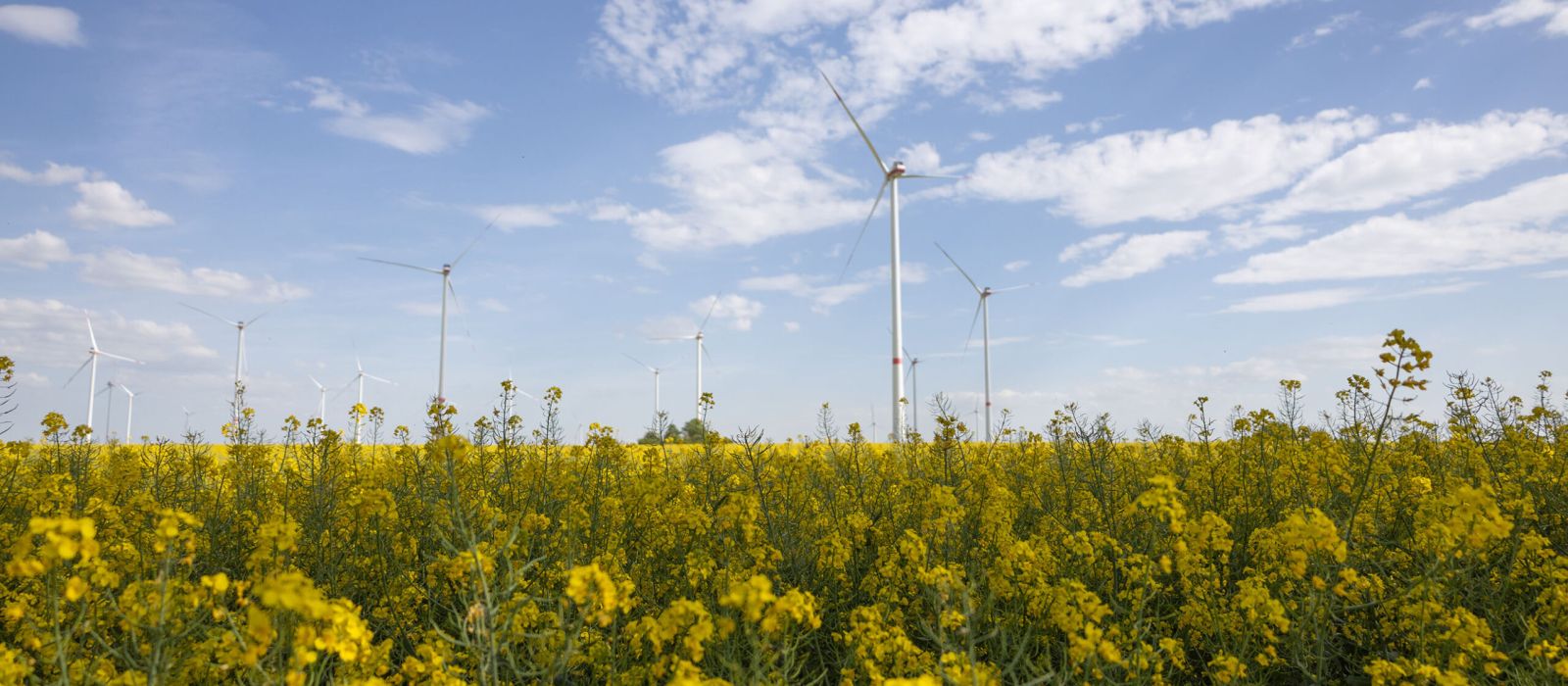 Cee Group Around 1.5 million tons of CO2 saved per year: CEE Group portfolio ...
